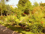 The garden in Summer