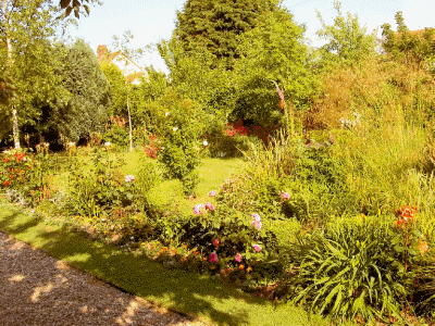 The garden in Summer